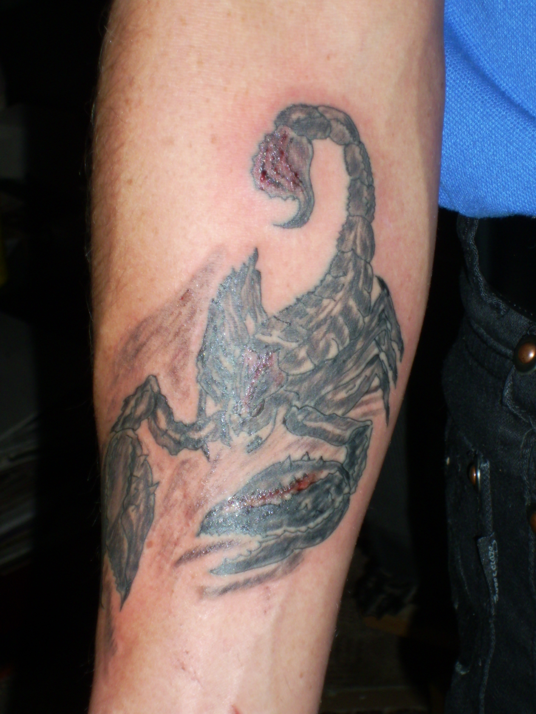 MARCEL SCORPION (4).JPG